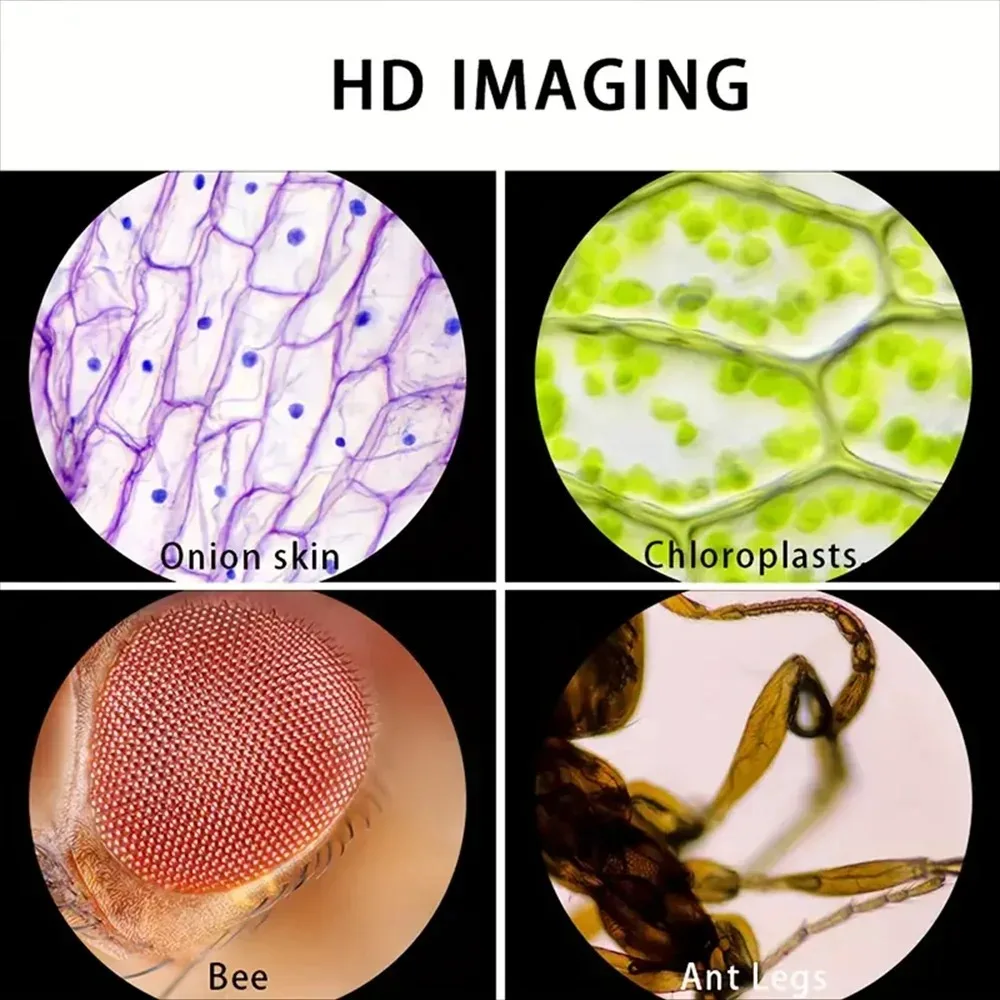 Taschenmikroskop für Kinder |  – Outdoor Adventure Microscope Bewertung und Preis